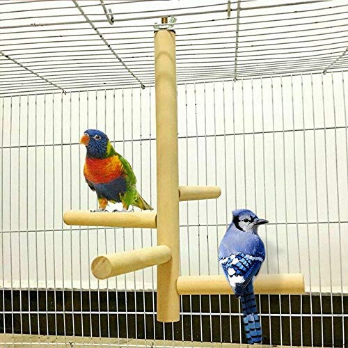 Percha de Periquito de pájaro de Madera Soporte de Loro Perchas de Madera Palo de molienda de Patas, Plataforma de Soporte de Madera Natural Juguete para Masticar para pinzones, Canarios
