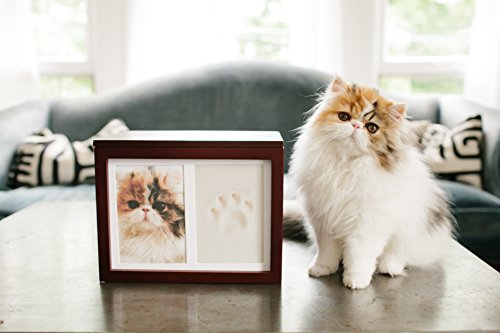 Perla Perro o Gato Mascota Recuerdo o Memoria, Espresso