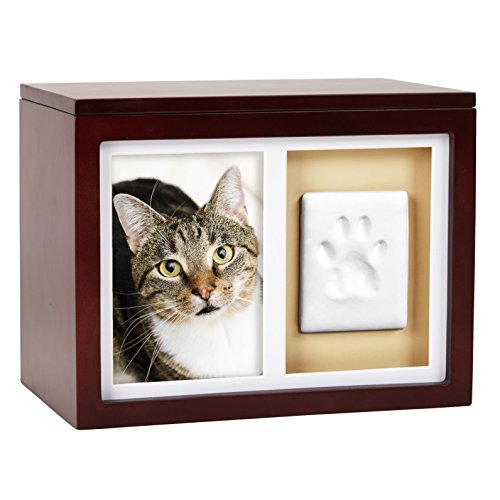 Perla Perro o Gato Mascota Recuerdo o Memoria, Espresso