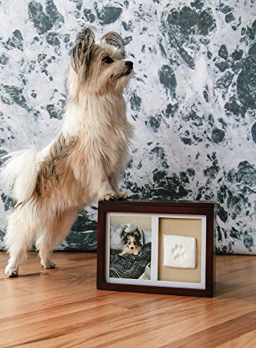 Perla Perro o Gato Mascota Recuerdo o Memoria, Espresso