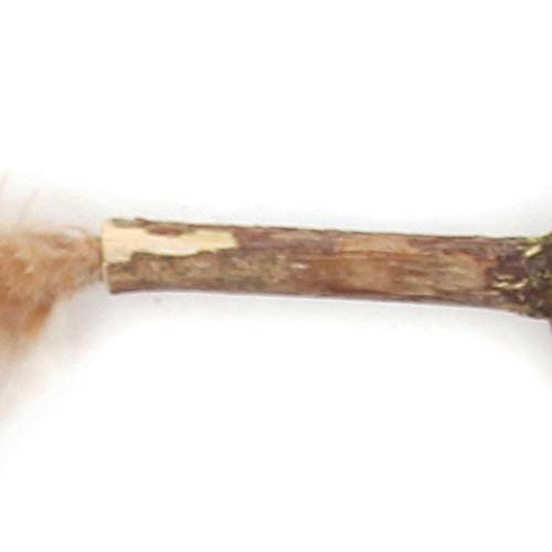 persiverney-AT Juguete Interactivo Para Gatos, Muela De Dientes De Gato Juguete Para Masticar, Juguete Para Rascar Gatito Bocadillos Para Gatos Bola De Hierba Gatera Escupir Pelo Para masterwork