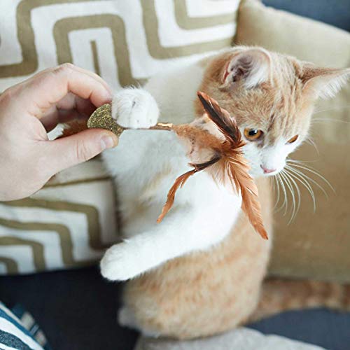 persiverney-AT Juguete Interactivo Para Gatos, Muela De Dientes De Gato Juguete Para Masticar, Juguete Para Rascar Gatito Bocadillos Para Gatos Bola De Hierba Gatera Escupir Pelo Para masterwork