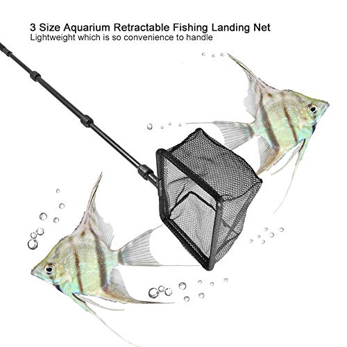 Pesca de Acuario Red de Aterrizaje Red de Pescar retráctil Red de Pesca Pez de camarón Red Objetos flotantes Herramientas limpias para Captura y liberación de Peces(M)