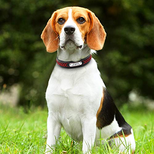 PET ARTIST Collar de Perro de Cuero Trenzado Rojo con Tachuelas Placa de Nombre – Collares de Cuero Personalizados para Perros Grandes – Grabado Gratis con Etiquetas de identificación, M