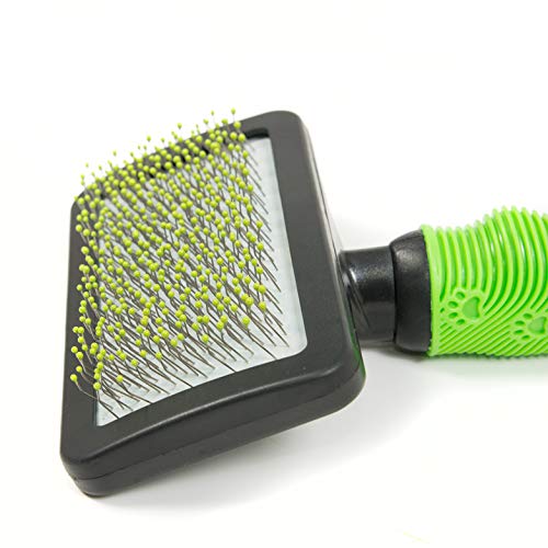 Pet Care - Cardador Suave Antideslizante con Puntas de PVC, pequeño, Juego de 2 Unidades, Talla única, Verde y Negro