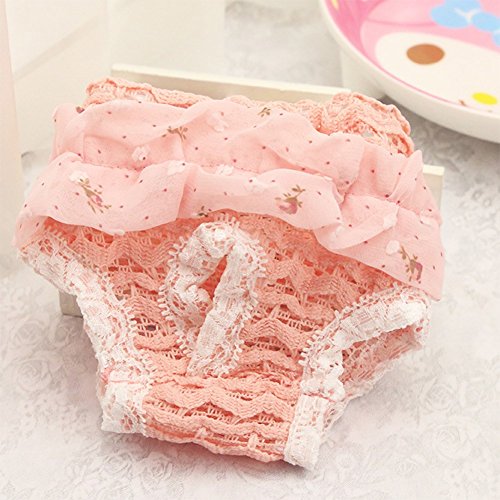 Pet Online La temporada de calor del pañal Pañales perro perros pantalones pantalones pantalones de seguridad anti acoso pet puede ser acolchado transpirable lace perrita pañales, rosa, l