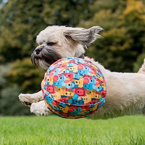 PetBloon Juguete de Globo para Perros – Big Fun Globo Juego para Perros