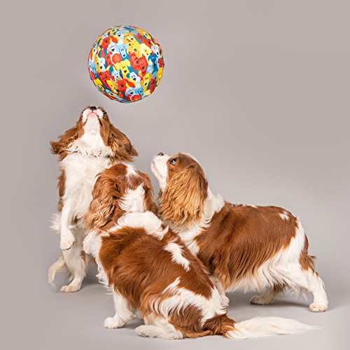 PetBloon Juguete de Globo para Perros – Big Fun Globo Juego para Perros