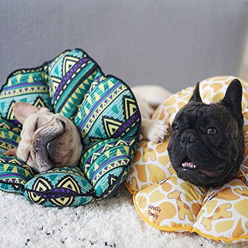 PETCUTE Collar isabelino Perro Conos Inflable para Perros y Gato Collar de Recuperación para Mascotas Cuello isabelino M