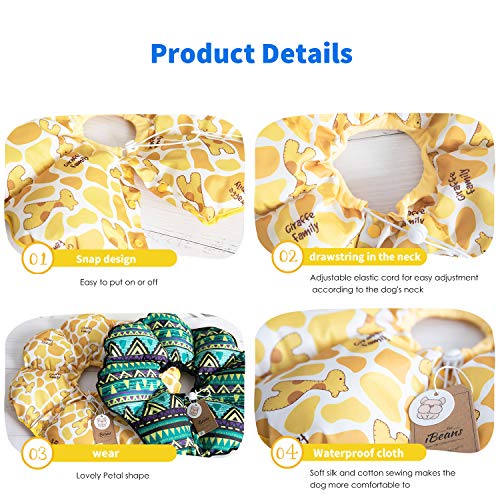 PETCUTE Collar isabelino Perro Conos Inflable para Perros y Gato Collar de Recuperación para Mascotas Cuello isabelino M