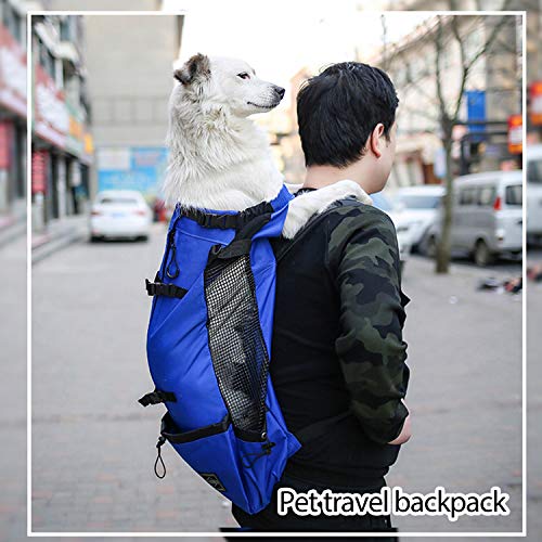 PETCUTE Mochila para Perros Bolsa transportin Perro Transpirable Transportar Perros Gatos Mascotas Mochila Portaperro Transportadoras Bolsa para Caminatas Portátil Viaje hasta 10kg