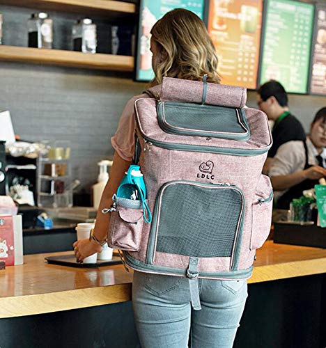 PETEMOO Portador de Viaje Mochila Bolsa de Transporte para Mascotas Perros Gatos Malla Completa Transpirable Transportín Jaula Capazos Transportadoras Plegable Viaje Coche Portátil