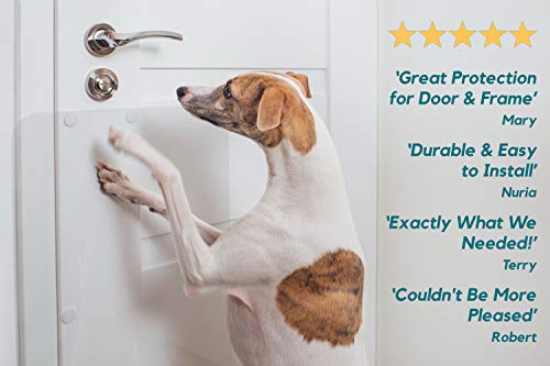 PETFECT - Protector de arañazos para Puerta de Perro para Uso Interior y Exterior, Transparente 75x50 cm