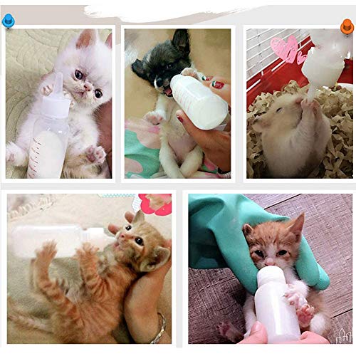 PetGens Botellas de alimentación para cachorros, botella de leche para perros, botella de leche para gatos, con 4 pezones de repuesto y 1 cepillo para pezón
