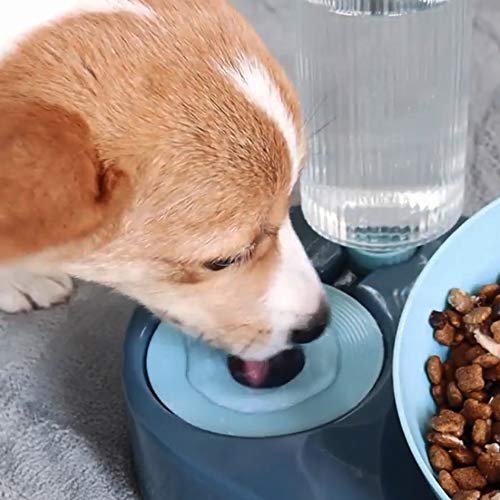 PetGens Gato Perro Cuenco Tazones De Perro Gato Comedero De Agua para Mascotas, 2 en 1, para Gatos, Alimentador De Agua para Mascotas, Cuenco De Alimentación para Mascotas
