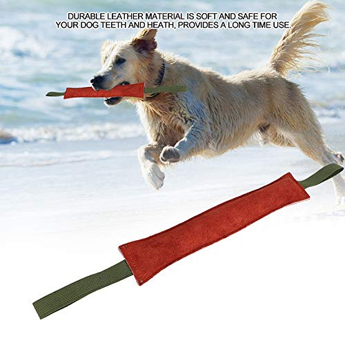 PetGens mordedor Perro, Juguetes para morder para Perros, K9 Dummy y motivador canino Resistente y Duradero, con Dos Asas, 40 cm