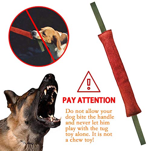 PetGens mordedor Perro, Juguetes para morder para Perros, K9 Dummy y motivador canino Resistente y Duradero, con Dos Asas, 40 cm
