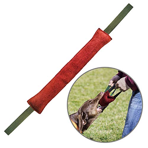 PetGens mordedor Perro, Juguetes para morder para Perros, K9 Dummy y motivador canino Resistente y Duradero, con Dos Asas, 40 cm