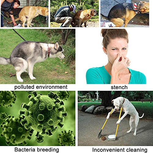 Petilleur Recogedores de Excrementos de Perro Plegable Pooper Scooper con Bolsas de Caca y Dispensador de Bolsas, 60cm