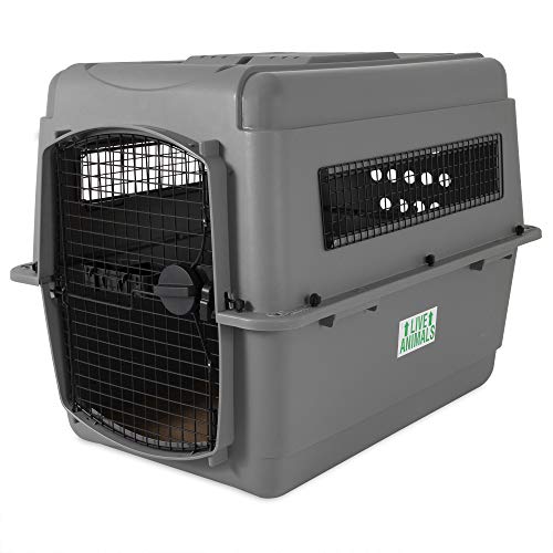 Petmate 00400 Transportin Sky Kennel 36, 92 x 64 x 69 cm