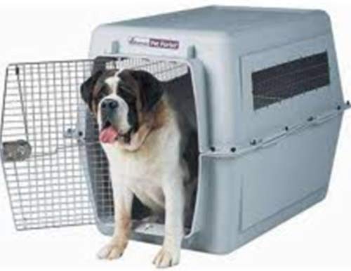Petmate 21108-21700 Transportin Vari Kennel 48, 122 x 81 x 89 cm
