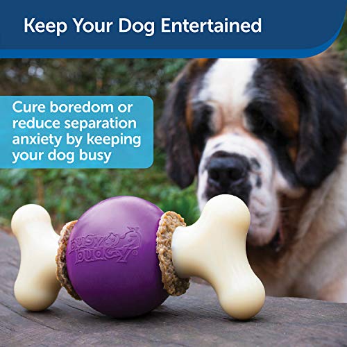 PetSafe Excelente Hueso saltarín Busy Buddy