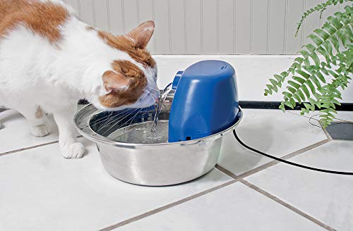 PetSafe Fuente De Agua para Perros Y Gatos Aqua Stream En Acero Inoxidable