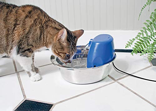PetSafe Fuente De Agua para Perros Y Gatos Aqua Stream En Acero Inoxidable