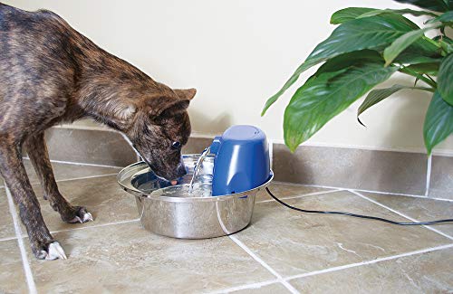 PetSafe Fuente De Agua para Perros Y Gatos Aqua Stream En Acero Inoxidable