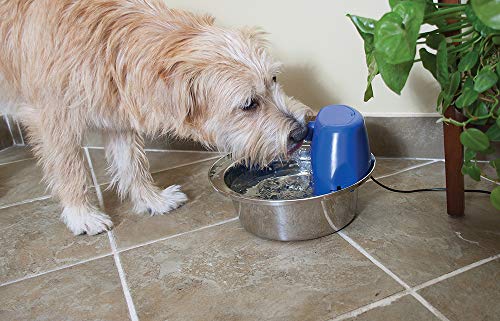PetSafe Fuente De Agua para Perros Y Gatos Aqua Stream En Acero Inoxidable
