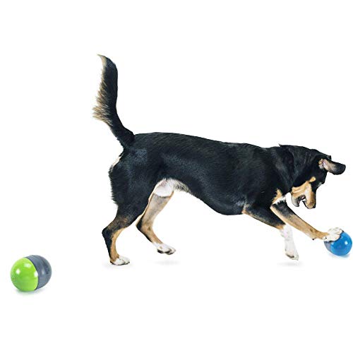 PetSafe Juguetes Electrónicos para Perros Ricochet 674.94 g