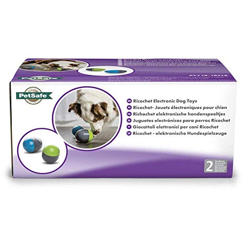 PetSafe Juguetes Electrónicos para Perros Ricochet 674.94 g