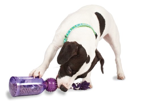 PetSafe Premier Busy Buddy Tug-a-jug