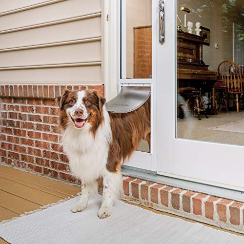 PetSafe Puerta corrediza de Cristal para Mascotas, Grande