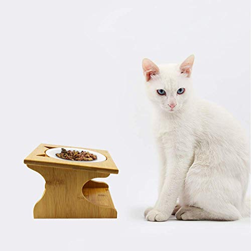Petsoigné Cuenco para Gatos Perros Elevado Comedero Gato Perro en Cerámica/Acero Inoxidable con Soporte de Madera (1 Cuenco, Cerámica)
