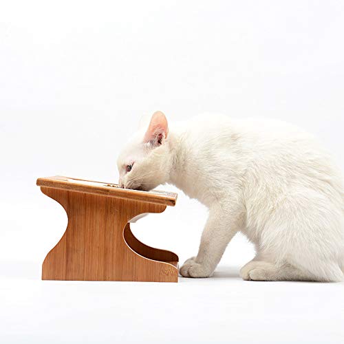 Petsoigné Cuenco para Gatos Perros Elevado Comedero Gato Perro en Cerámica/Acero Inoxidable con Soporte de Madera (1 Cuenco, Cerámica)