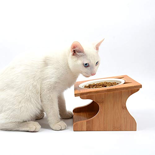 Petsoigné Cuenco para Gatos Perros Elevado Comedero Gato Perro en Cerámica/Acero Inoxidable con Soporte de Madera (1 Cuenco, Cerámica)