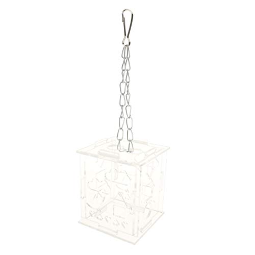 PETSOLA Parrot Bird Cage Feeder Juguetes De Alimentación De Acrílico Pet Treat Hunt