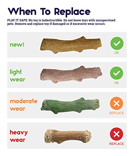 Petstages Dogwood - Juguete con Forma de Palo de Madera para Perros - para morder - Seguro, Natural y Sano