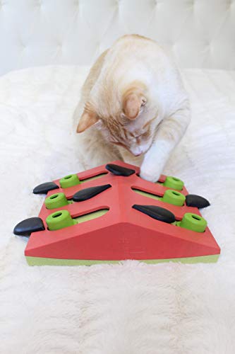 Petstages-Nina Ottosson Melon Madness-Rompecabezas para Gatos-Juguete Interactivo con dispensador de premios, Color Rosa, Un tamaño (Outward Hound 69583M)