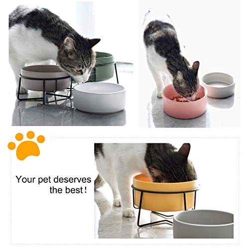 PETTOM Cuenco Cerámico del Gato,Tazón para Mascotas Antideslizantes Plato Doble Comedero Gatos Perros con Soporte Elevado para Alimentos y Agua (Rosado+Rosado)