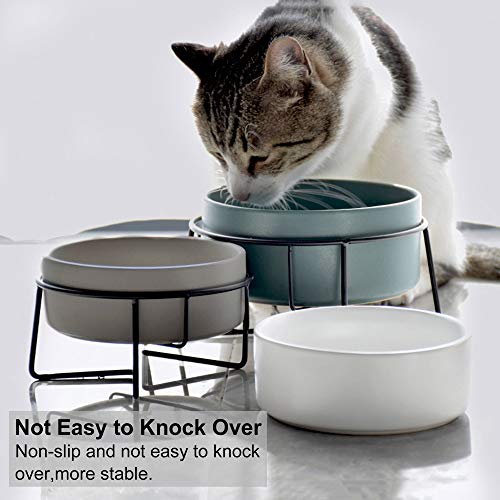 PETTOM Cuenco Cerámico del Gato,Tazón para Mascotas Antideslizantes Plato Doble Comedero Gatos Perros con Soporte Elevado para Alimentos y Agua (Rosado+Rosado)