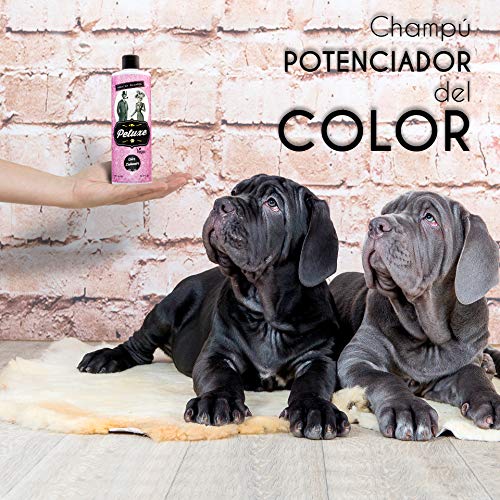 Petuxe Champú Perros y Mascotas Vegano, Pelo Negro, 5000 ml