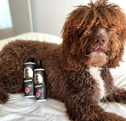 Petuxe Champú Vegano para Perros de Agua. Champú Vegano Perros. Texturizador Perro de Agua. Champú Mascotas. Lavante, hidratante y vitalizante (200 ml)