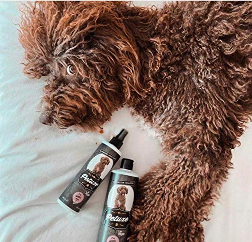 Petuxe Champú Vegano para Perros de Agua. Champú Vegano Perros. Texturizador Perro de Agua. Champú Mascotas. Lavante, hidratante y vitalizante (500 ml)