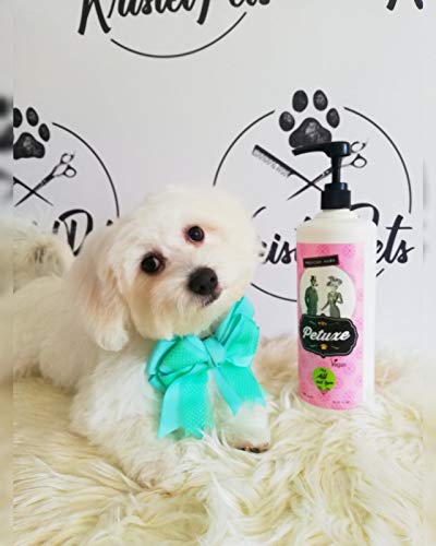 Petuxe Mascarilla para Mascotas. Mascarilla Vegana Perros. Mascarilla Gatos. Todas Las Razas. Todo Tipo de Pelo. Hidratación y Brillo. con Aloe Vera - 300 ml