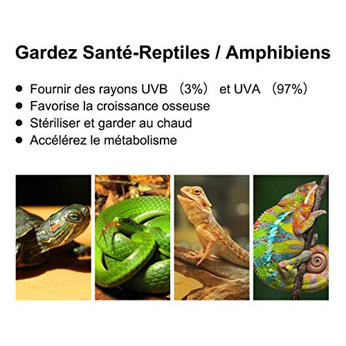PewinGo Lámpara para Tortuga, Lámpara de Reptiles y Anfibios con 2 Bombillas de Luz Solar UVA UVB de 25 W y Abrazadera Giratoria de 360 °Adecuada