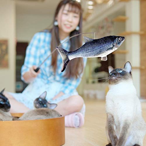 Pez Juguete Peluche, Juguete Pez Eléctrico USB para Gatos, Pez Simulación Eléctrico Felpa Realista 30 Cm Cualquier Juguete Recargable para Mascotas para Que El Gato Juegue, Muerda, Mastique Y