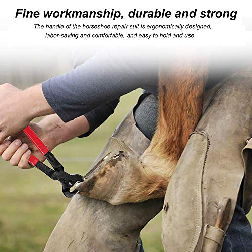 Pezuña de herrador de caballo Kit de herramientas de recorte, Cortadora de pinzas para pezuñas de caballos profesionales, tijeras de metal para cortar caballos, cuidado de pezuñas para caballos