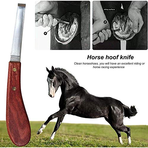 Pezuña de herrador de caballo Kit de herramientas de recorte, Cortadora de pinzas para pezuñas de caballos profesionales, tijeras de metal para cortar caballos, cuidado de pezuñas para caballos